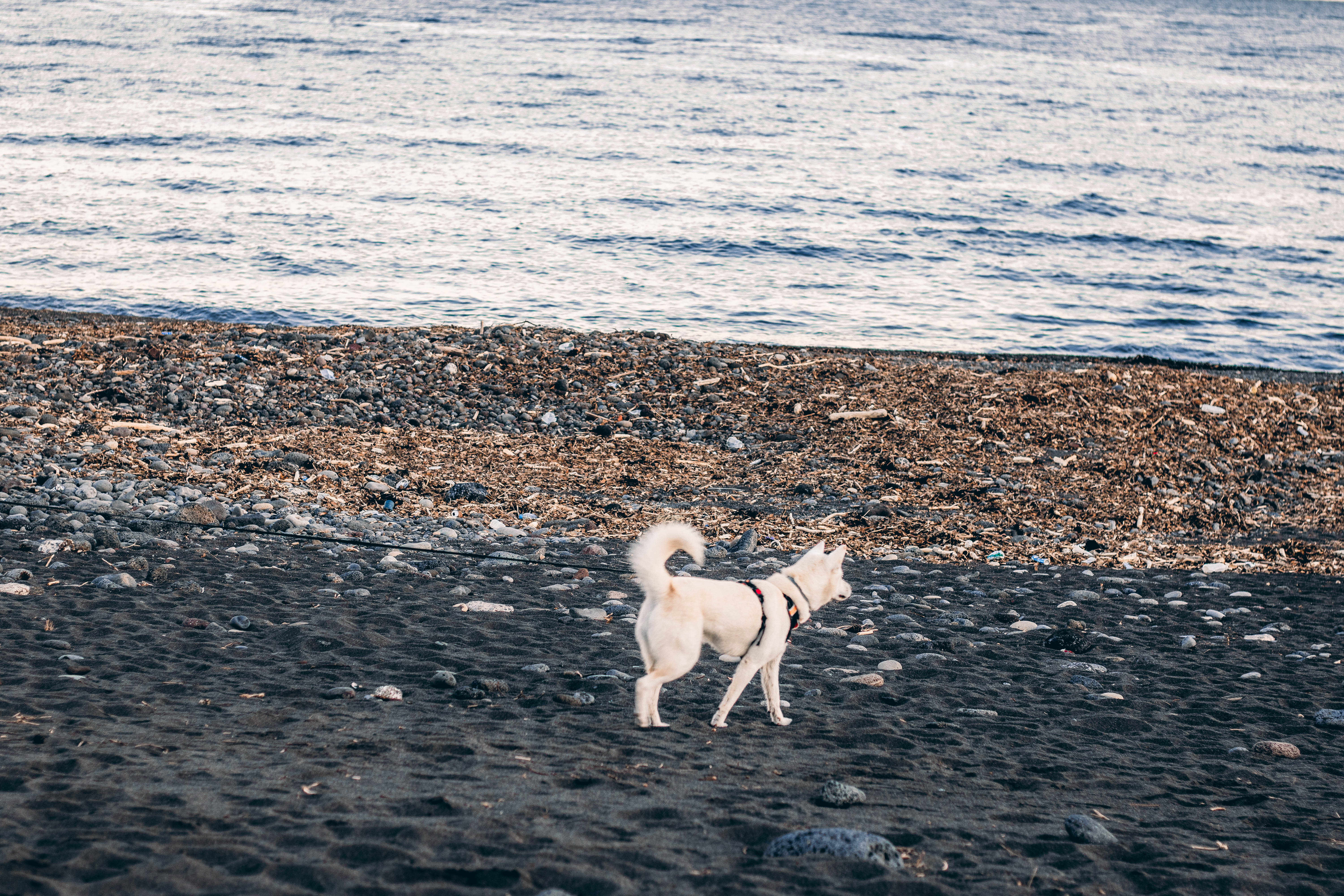 济州岛风景最美的地方,济州岛旅游攻略浴场