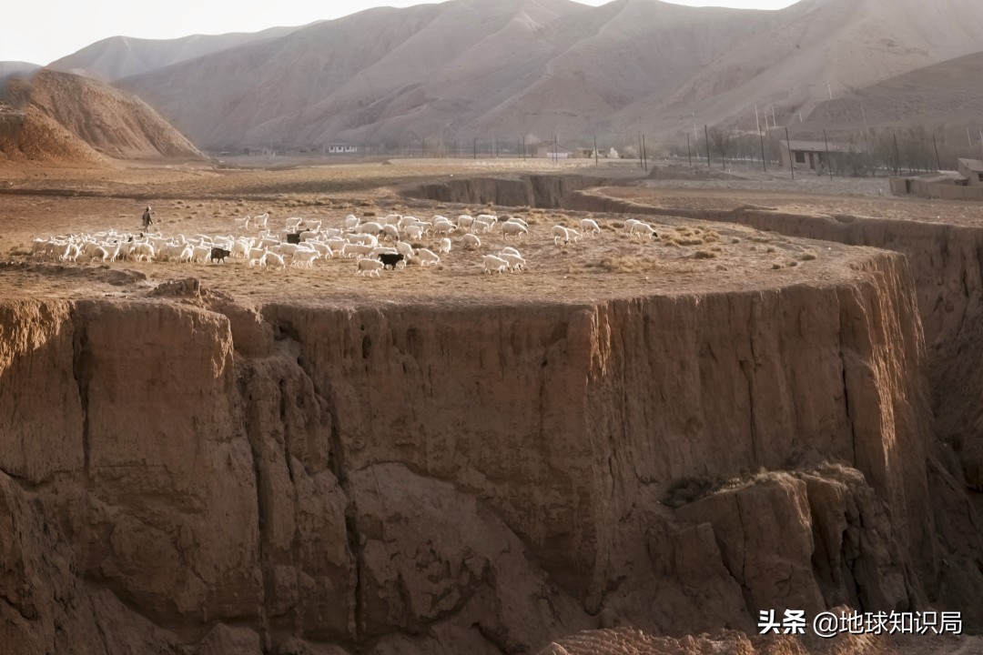 今天，它改变了宁夏！|地球知识局