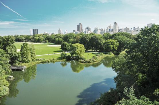 榫欐鼎涓伴敠,榫欐鼎涓伴敠椤圭洰