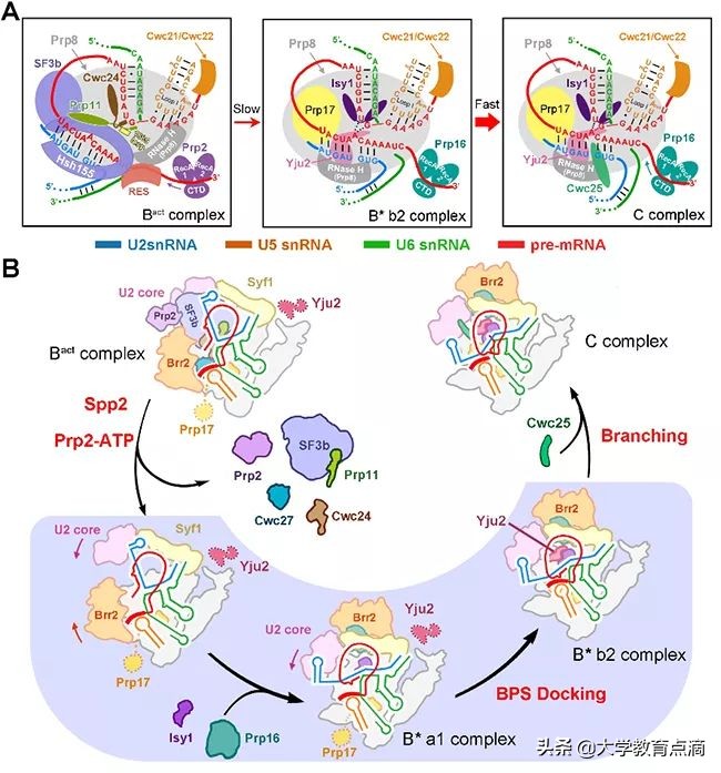 清华大学当前的前沿科技,清华大学科技成果