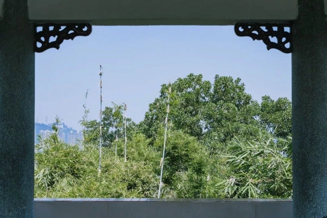 深圳最适合亲子游的好去处,深圳周末家庭游玩好去处