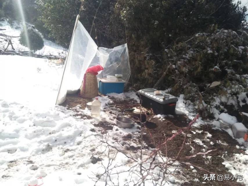 阿土|荒野生活/从城市白领到山中野人