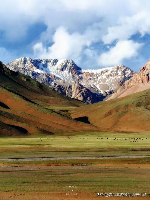 青海隐藏的秘密,青海发现美丽秘境全世界为之瞩目