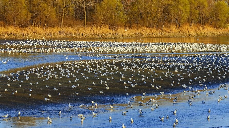 秦皇岛秋天去哪里玩,秦皇岛秋天游玩的景点