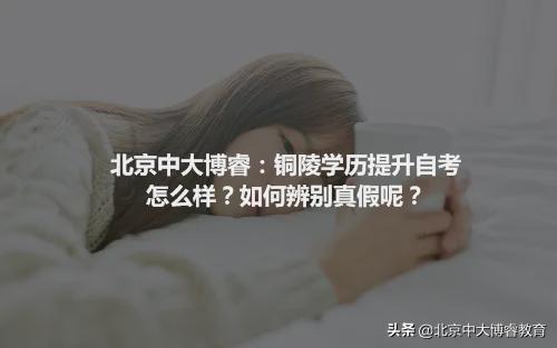中大博睿教育是正规培训机构吗,中大博睿学院自考专升本
