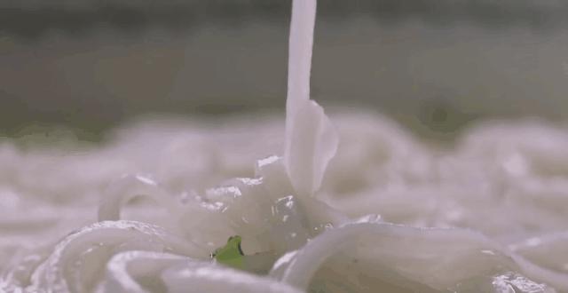 顺德人到底是有多会吃,顺德人对吃的究竟有多讲究