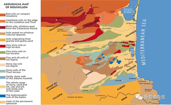 对蜜雪冰城产品的认知,露喜龙产区