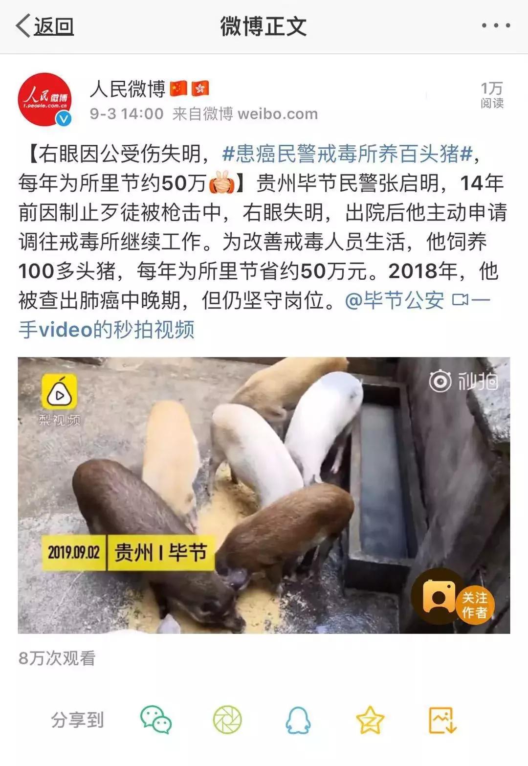中国青年报张启明,人民网评价张启明
