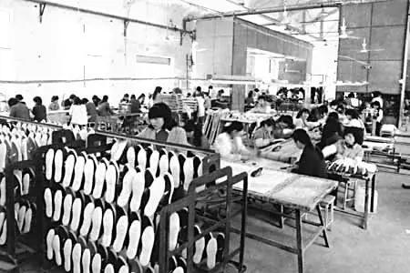 让猪飞起来教程,能让猪都飞起来的风口项目