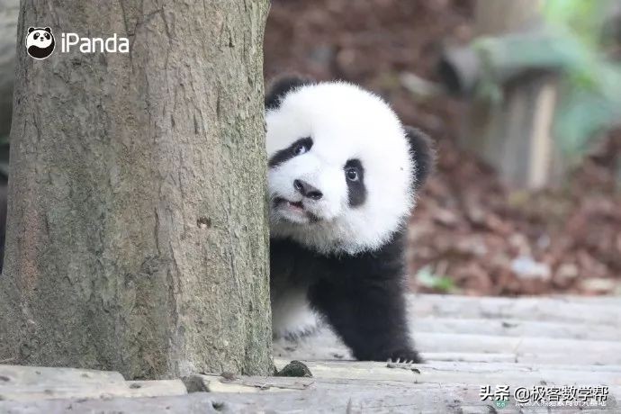 成都景区地图,成都各大景点详细攻略图片