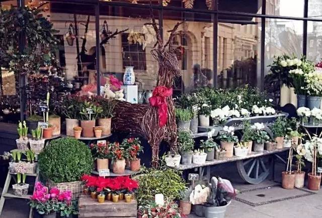 以后一定要开个花店,现在开个花店好吗