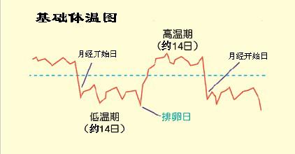 大人体温37.8度一直低烧不退,体温总是在38.9度不退怎么办