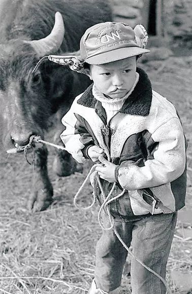 希望工程30周年纪录片,希望工程25周年视频