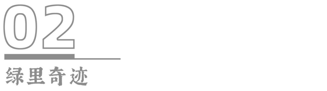 豆瓣这才是真正的经典神作,豆瓣8.8经典