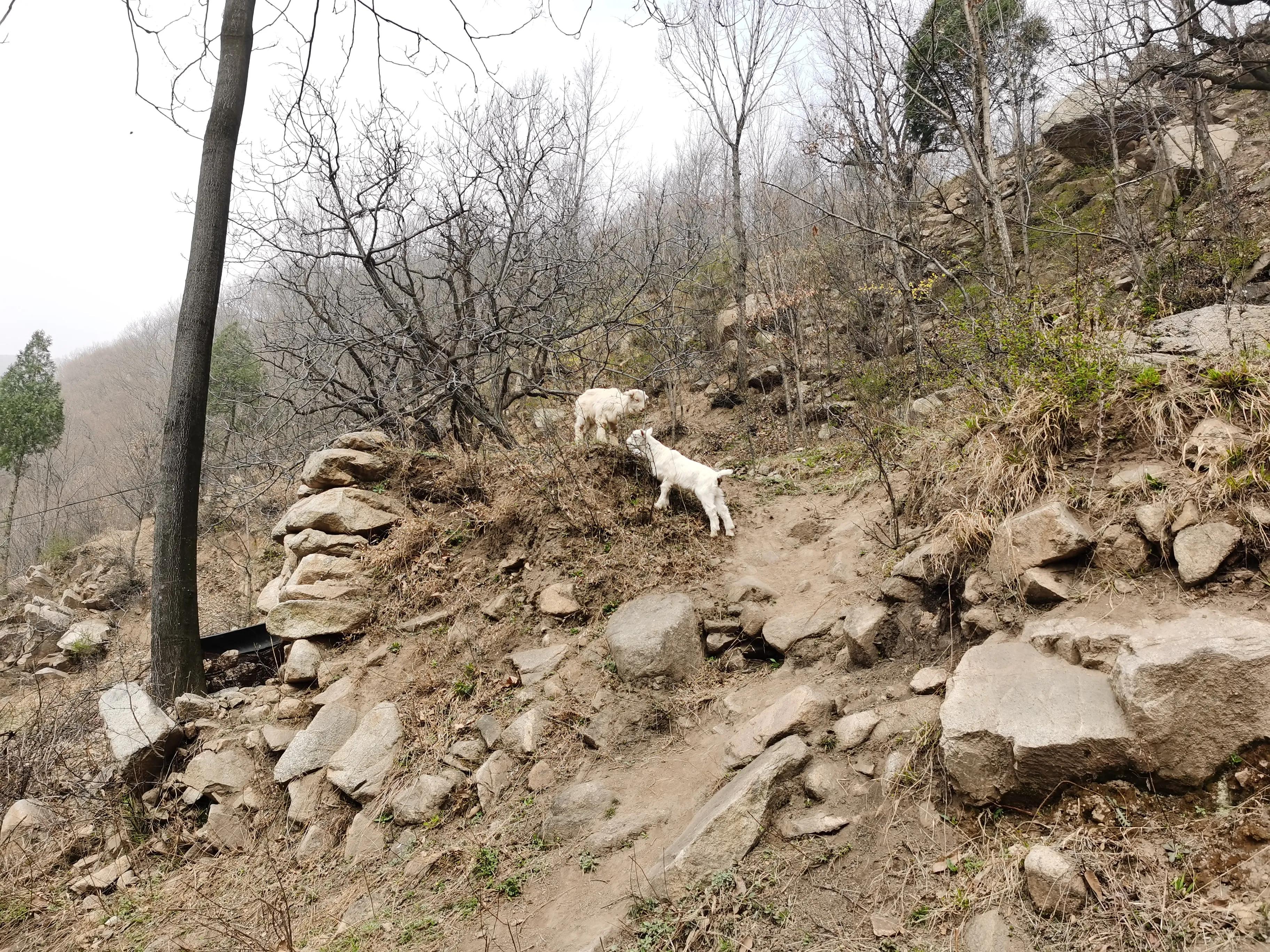 桃花依旧笑春风散文,关于桃花依旧笑春风的散文