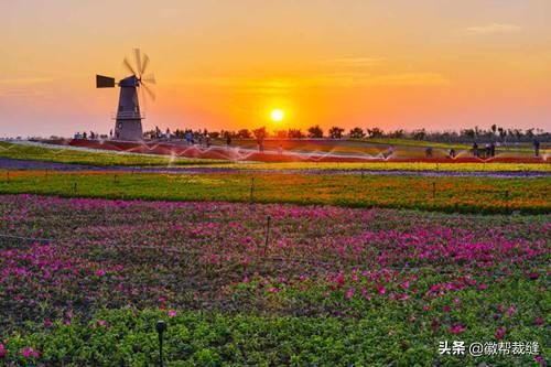 合肥适合情侣约会打卡的地方,合肥七夕游玩推荐