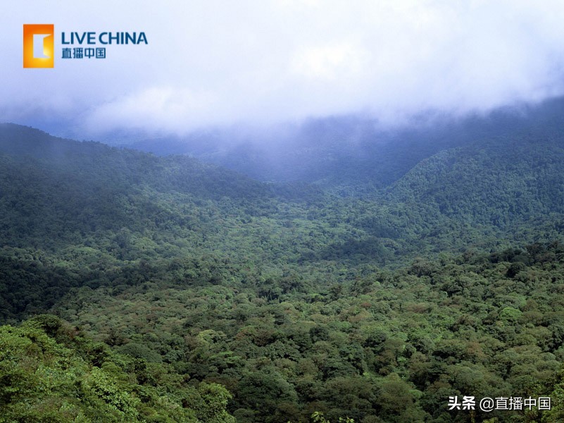 cnn评选出中国最美的10个美景,细读世界最美风景100个地方