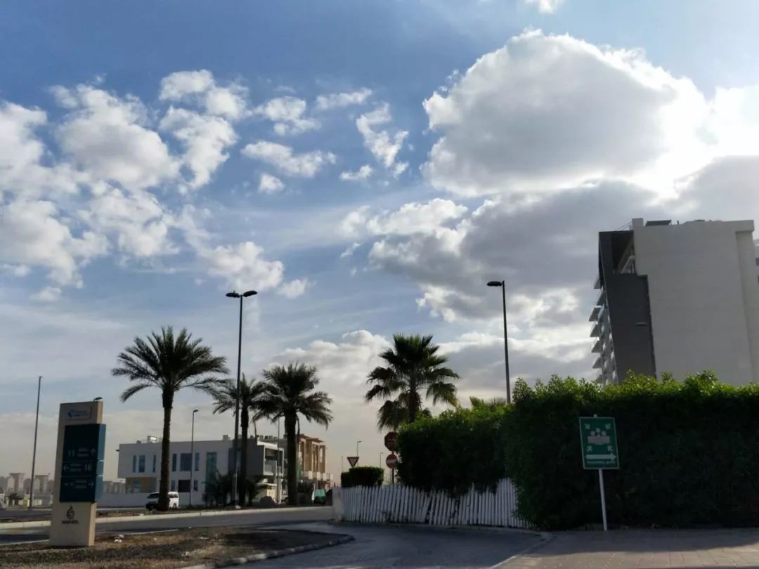 在迪拜工作的坏处,在迪拜都是什么工作