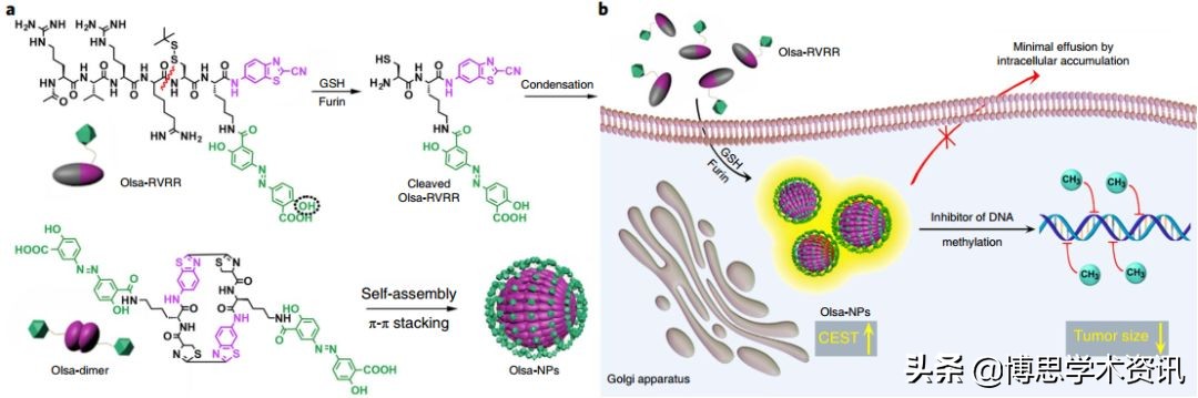 硅量子点和碳量子点,石墨烯量子点溶液形态