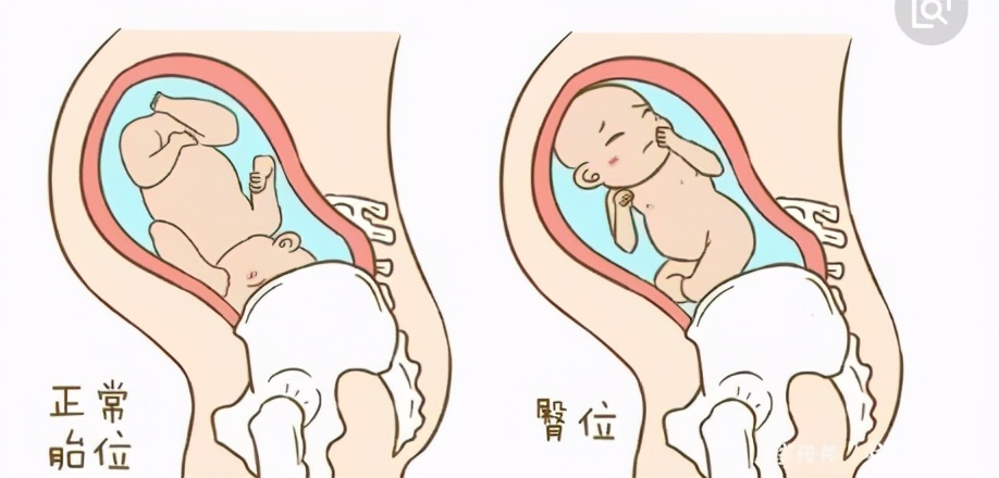 你竟是喝着自己的尿液长大的,在母亲体内,你都经历了什么?