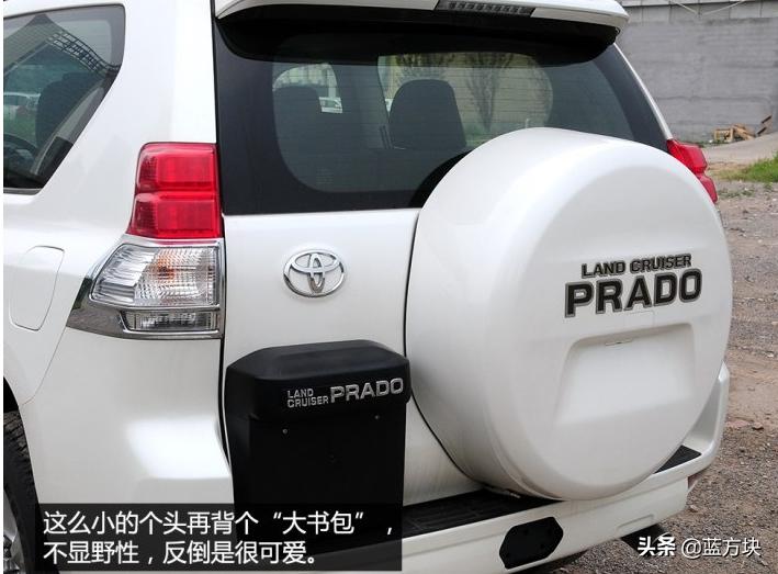 普拉多耍帅视频,普拉多卖萌