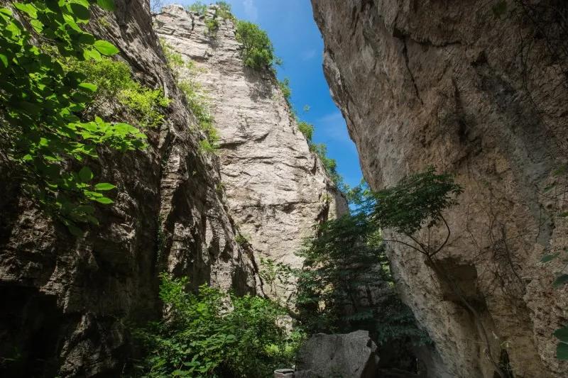 抱犊崮门票半价政策,中考生福利重庆