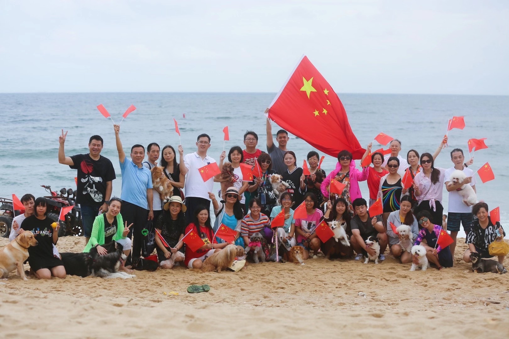 带宠物住酒店攻略,带宠物住什么酒店好