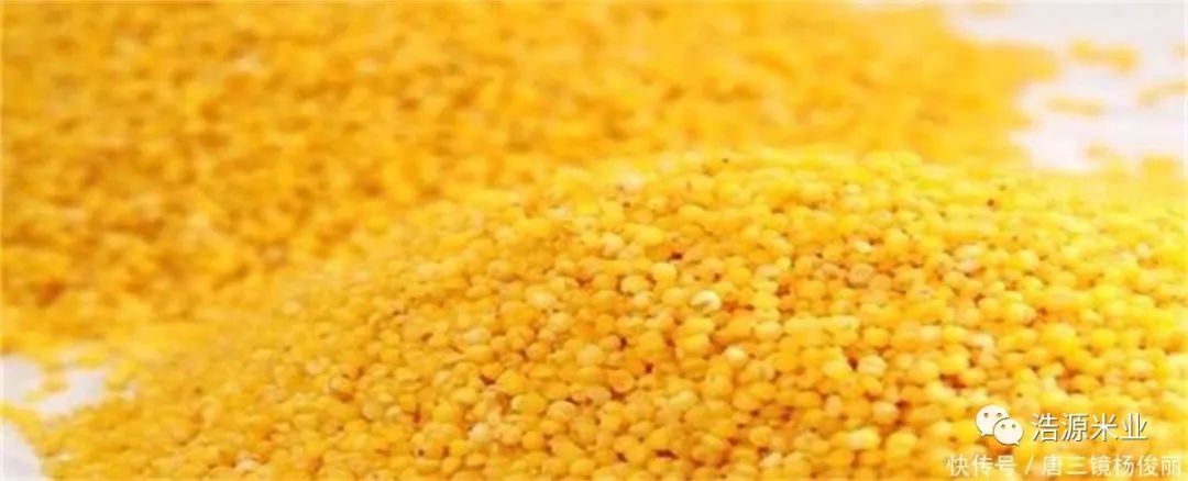 小米酒自家酿酒方法,自制发酵小米酒的制作方法