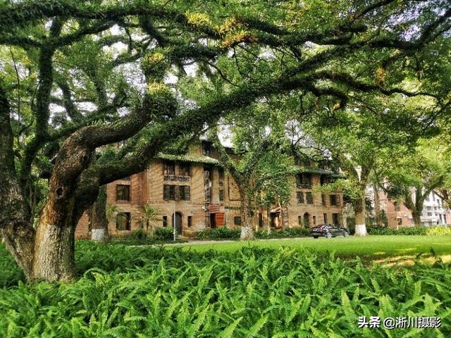 中国最美丽的校园照片,中国最美丽的校园中山大学南校区