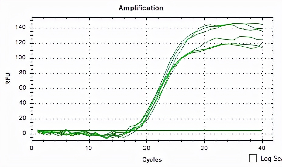 qpcr一点曲线都没有,qpcr循环数不一样怎么办