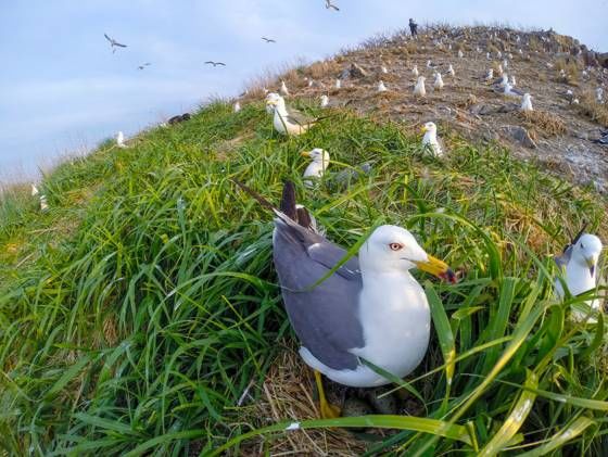 人均1000不到，3天2夜玩转人间美岛，再不来你就out了