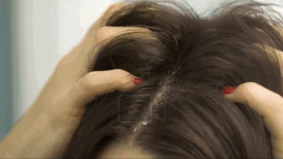 海飞丝洗发水与飘柔洗发水相比,飘柔洗发水和海飞丝洗发水哪个好