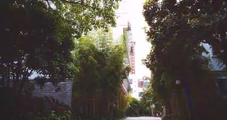 上海回不去的青春,上海市建平中学老照片