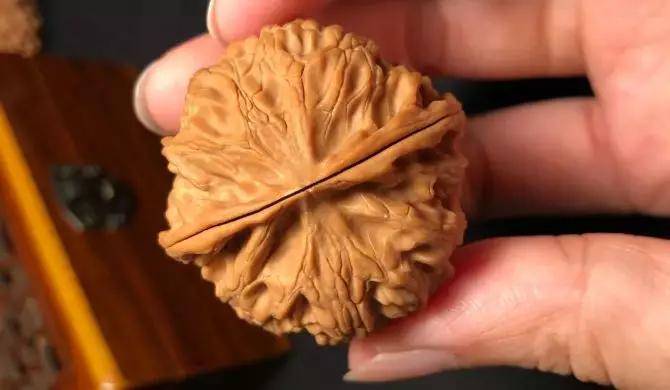 如何把玩文玩核桃视频,文玩核桃把玩后如何存放