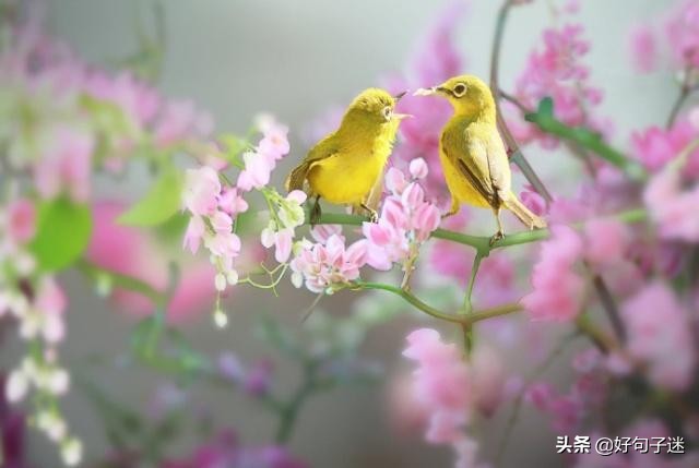 人生感悟英文短句子,句句入骨,看完你会明白很多!