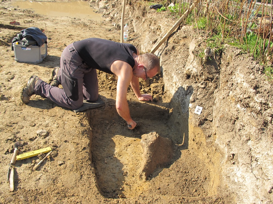 多瑙河立功了，德国考古学家：多亏河水，我挖到2.5米的猛犸象牙