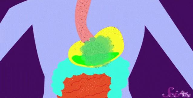 放屁太少是好事还是坏事,放屁少有哪些危害