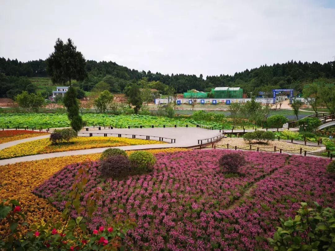 简阳五一有什么好玩的地方,国庆七天假去什么地方玩