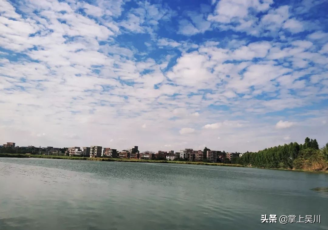 吴川精彩的比赛,吴川市大型比赛