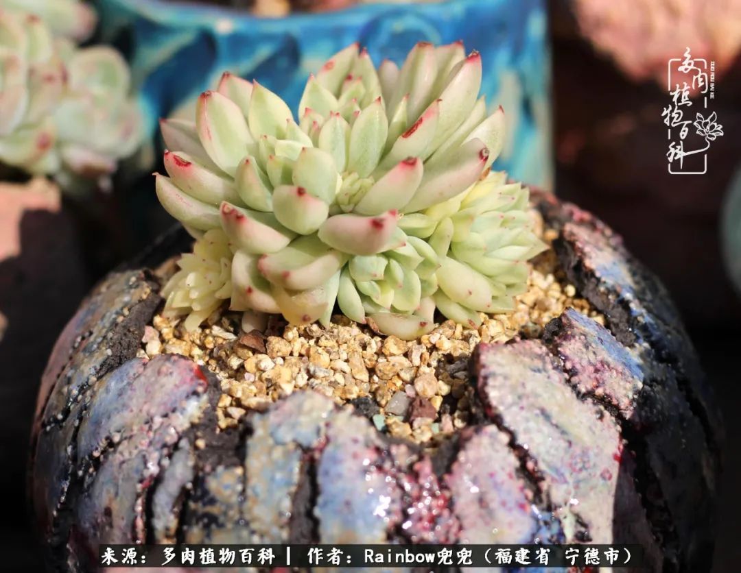 岁月无波澜余生不悲欢是啥意思,愿你岁月无波澜敬我余生无悲欢