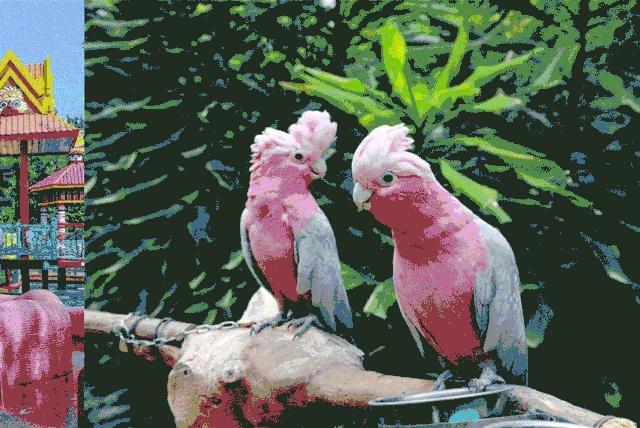 2020丰台文化和旅游消夏季活动正式启动！5条线路，游园、嬉水、赏花、亲子、夜游，全都有！