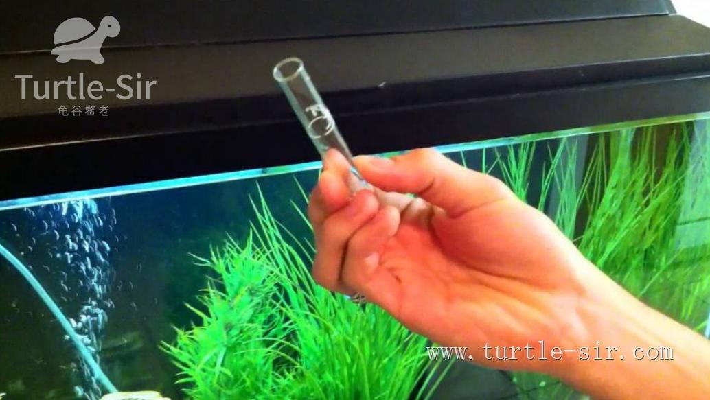 龟缸养龟怎么保持水质清澈,养龟之道如何掌握适宜龟缸水位