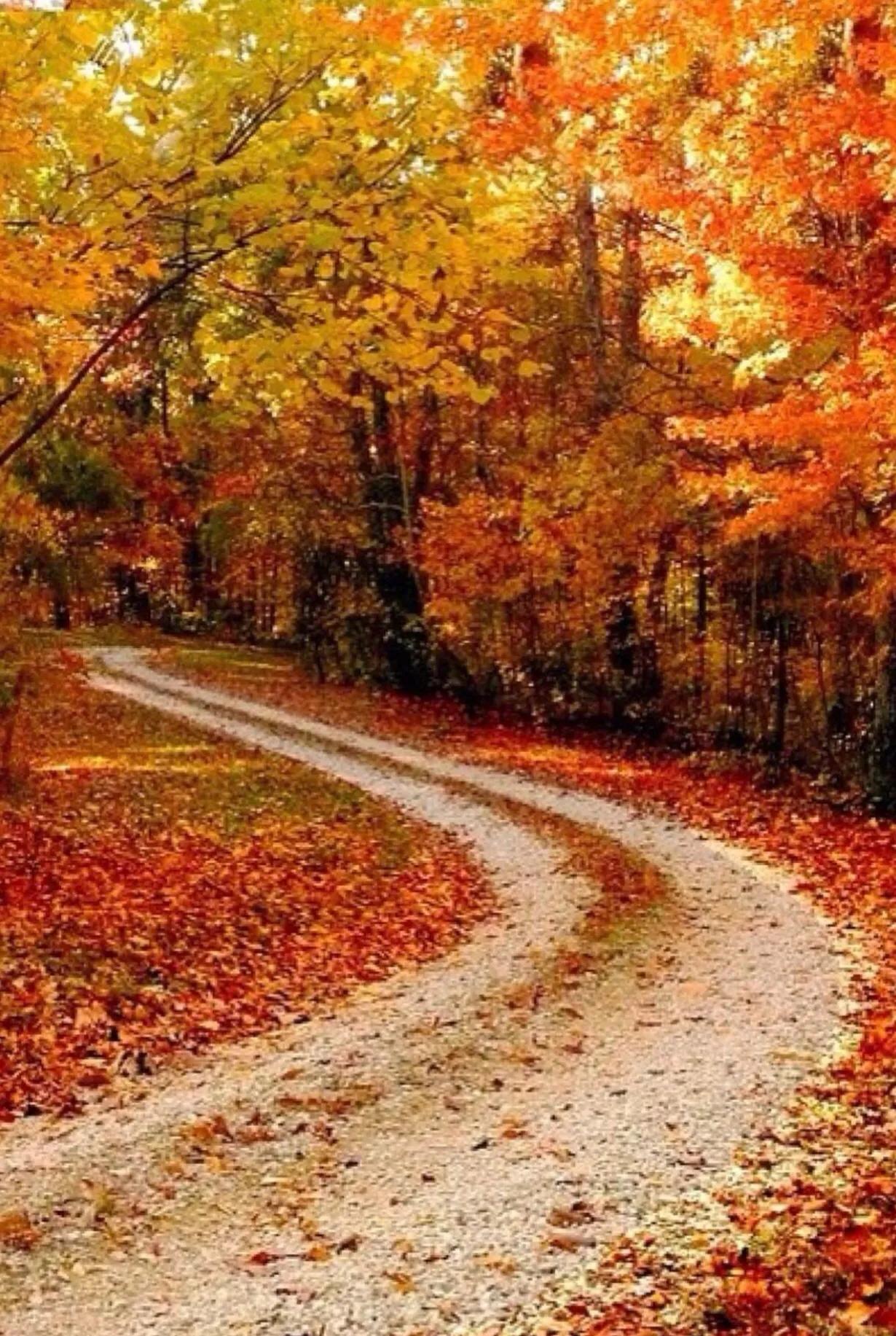 转角遇到爱完整版,转弯就会遇到爱