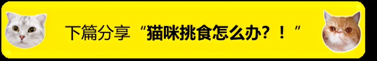 狗狗腿瘸微量元素和维生素吃哪个,狗狗吃了海苔腿瘸了怎么恢复