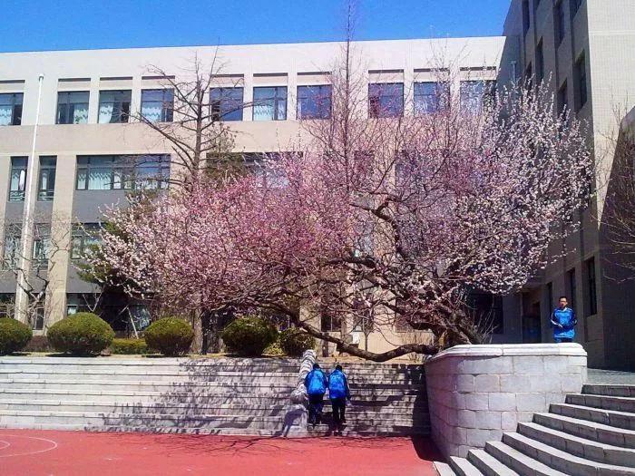 大连市第十三高级中学,辽宁省大连市第二十高级中学