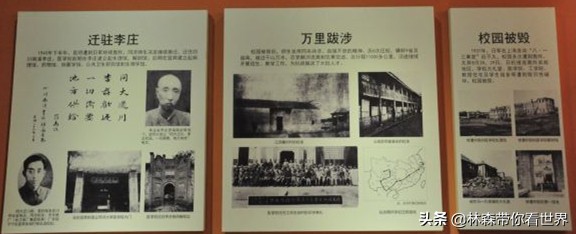 林森完整版免费观看,林森完整视频