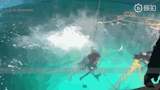 李承鄞杨康宁采臣虐妻,宁采臣霸道总裁李承鄞