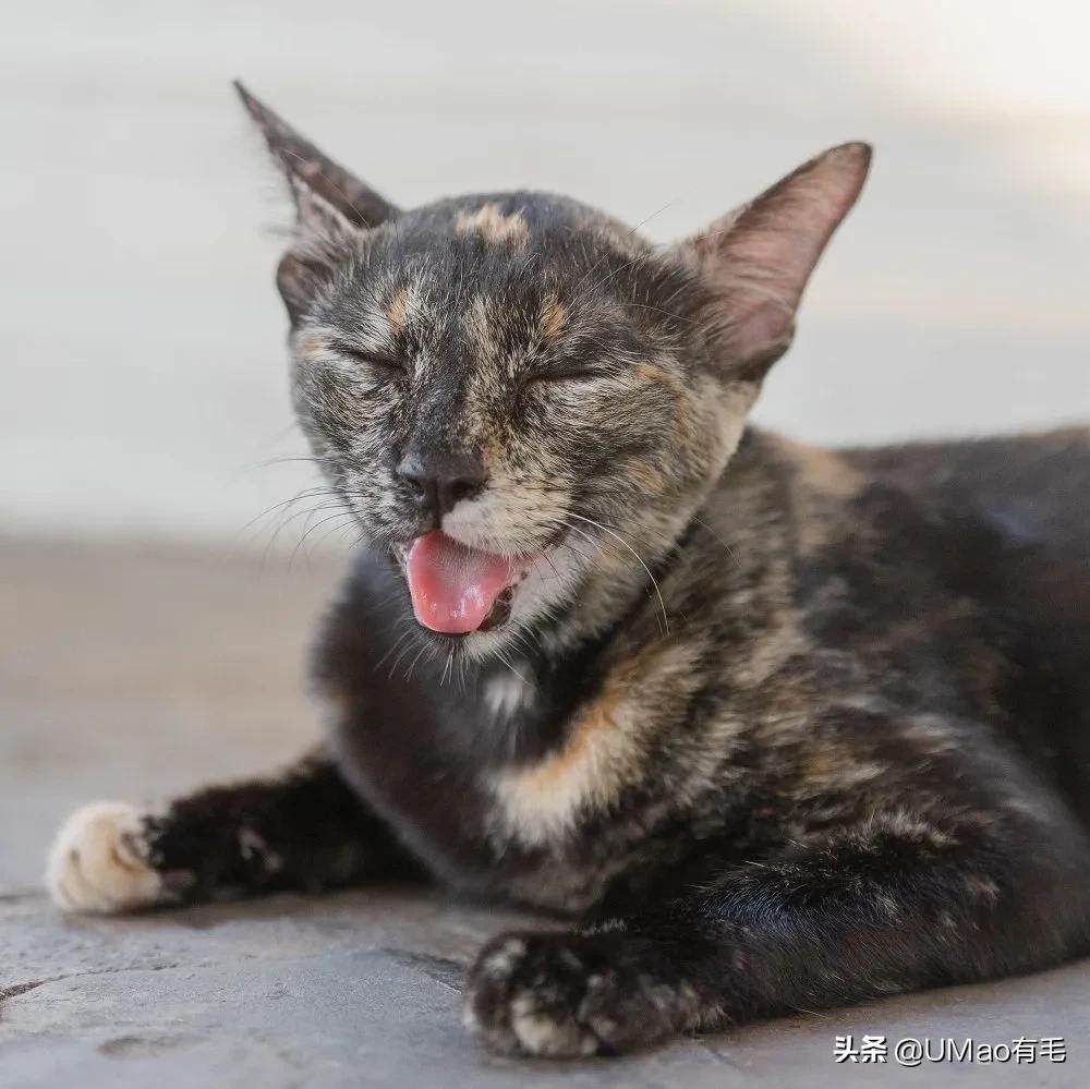 做好这几点远离呼吸道疾病,做好这八点让你轻松管理