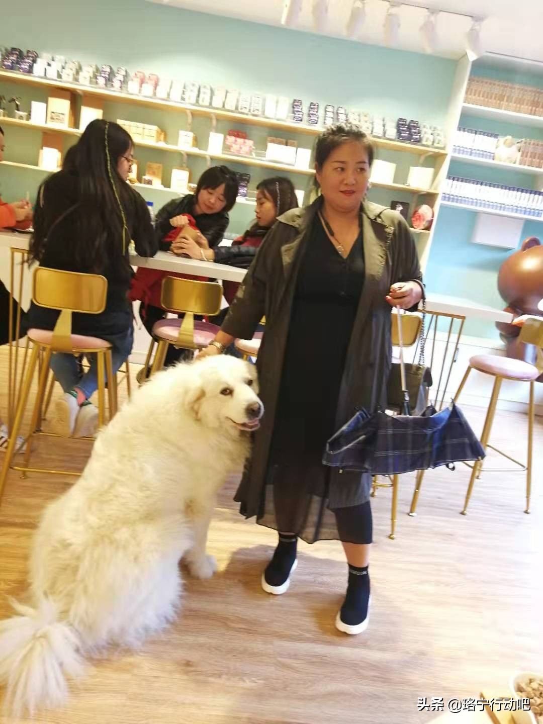 减肥10年都没有把自己减下去,减肥训练挑战50斤第7天减重18.7斤