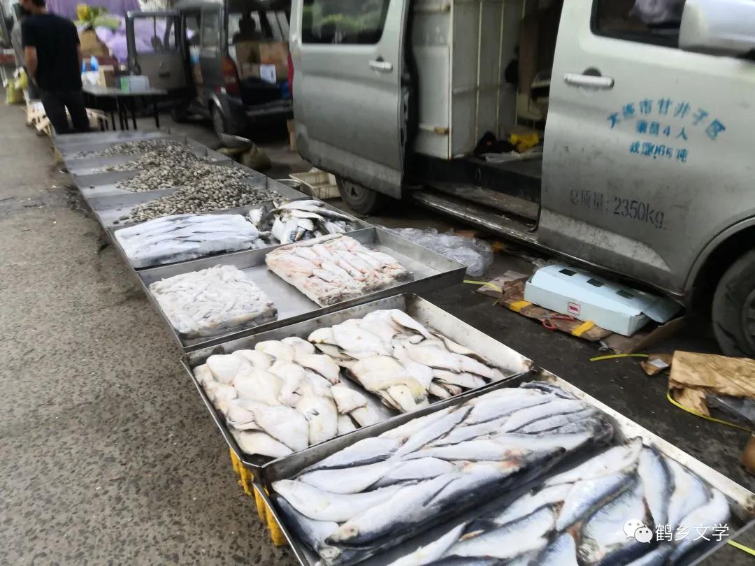 有关韩嘉川的视频,韩嘉川代表作品